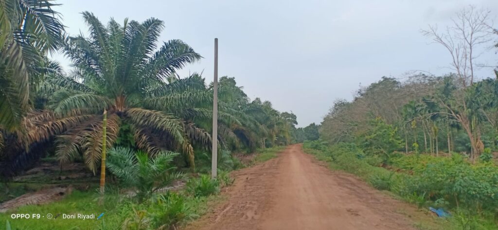 40 KK Di Desa Sungai Tering Belum Tersentuh Listrik.
