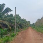 40 KK Di Desa Sungai Tering Belum Tersentuh Listrik.